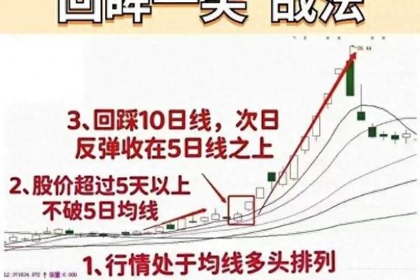 新手想炒股票怎么学：从基础知识到实战技巧全攻略